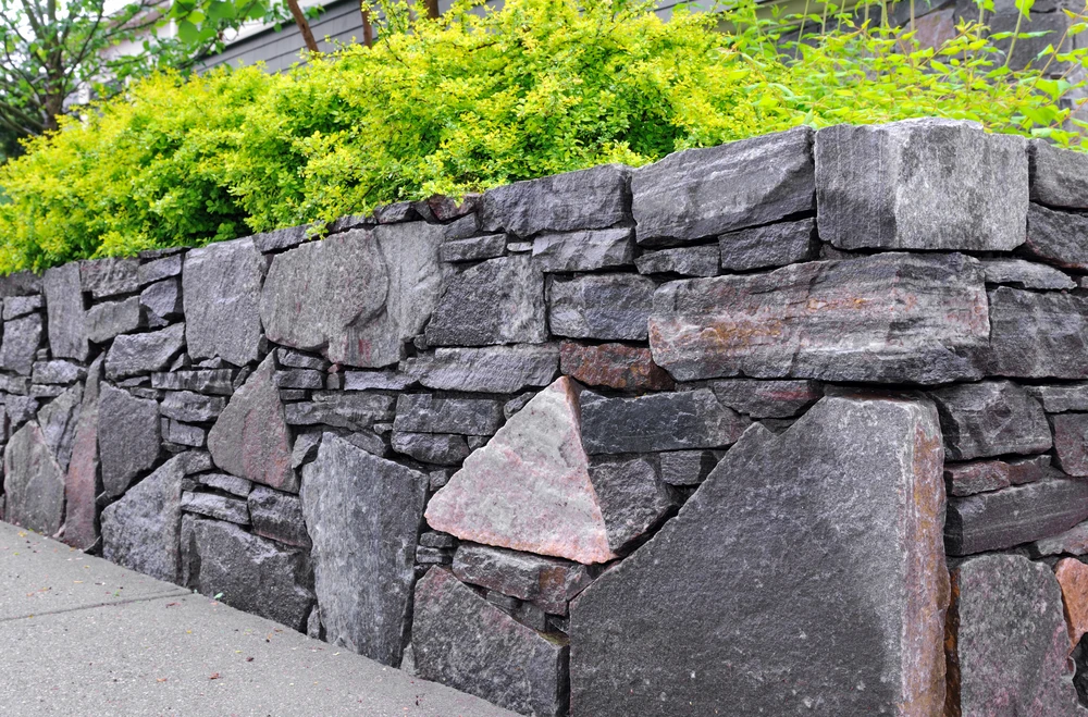 Stacked stone masonry retaining wall with large natural stones supporting lush green shrubs above.