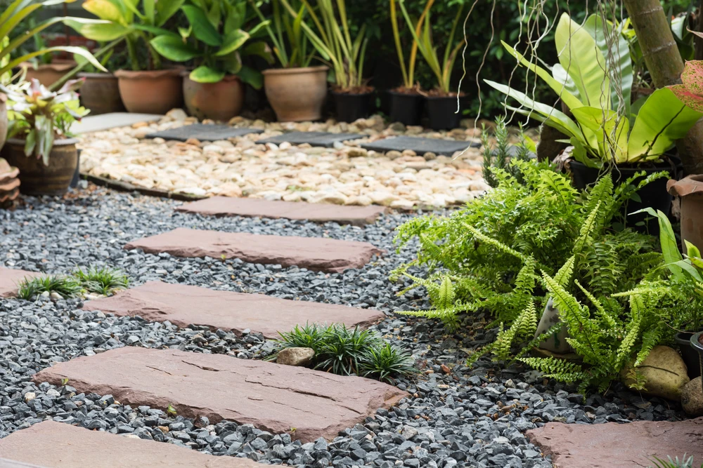 Stepping stone walkway over black gravel with potted tropical plants and ferns for a refreshed garden path.